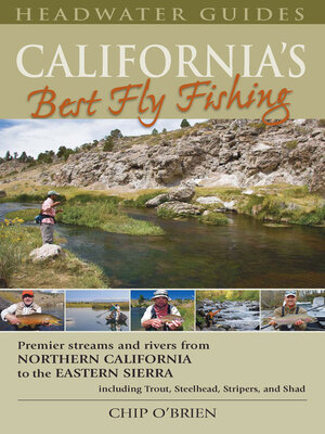 cover image of California's Best Fly Fishing